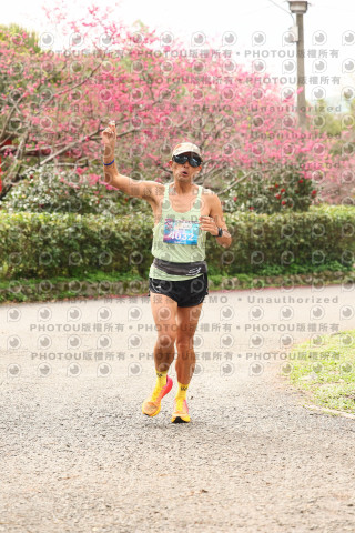 2026左岸竹東櫻花馬拉松Zhudong Sakura Marathon