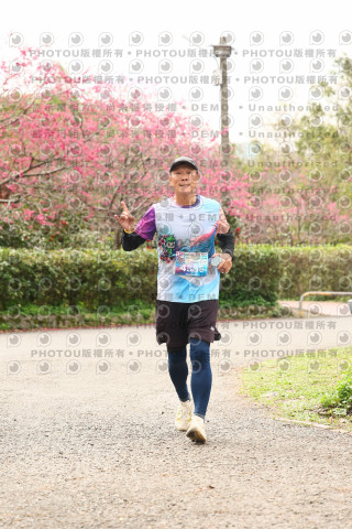 2026左岸竹東櫻花馬拉松Zhudong Sakura Marathon