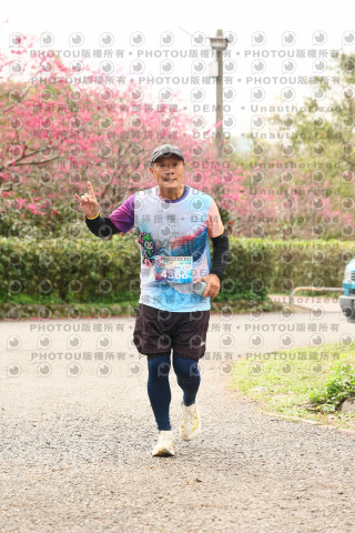 2026左岸竹東櫻花馬拉松Zhudong Sakura Marathon