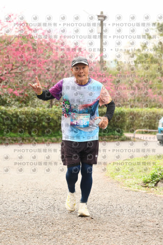 2026左岸竹東櫻花馬拉松Zhudong Sakura Marathon