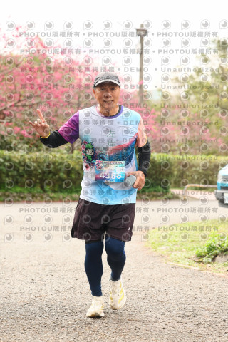 2026左岸竹東櫻花馬拉松Zhudong Sakura Marathon
