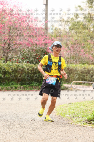 2026左岸竹東櫻花馬拉松Zhudong Sakura Marathon