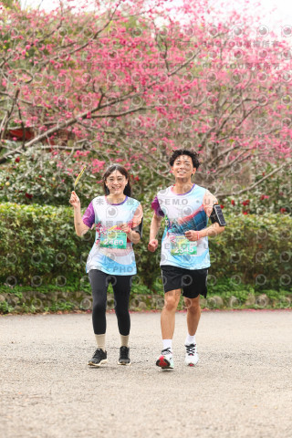 2026左岸竹東櫻花馬拉松Zhudong Sakura Marathon