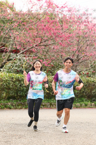 2026左岸竹東櫻花馬拉松Zhudong Sakura Marathon
