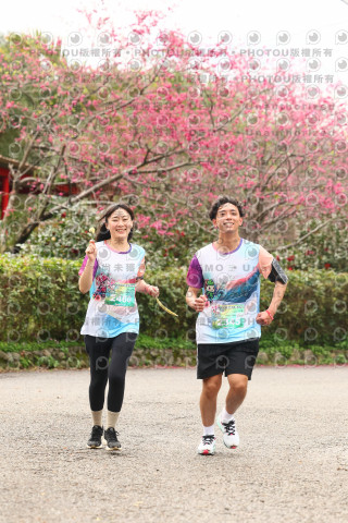 2026左岸竹東櫻花馬拉松Zhudong Sakura Marathon