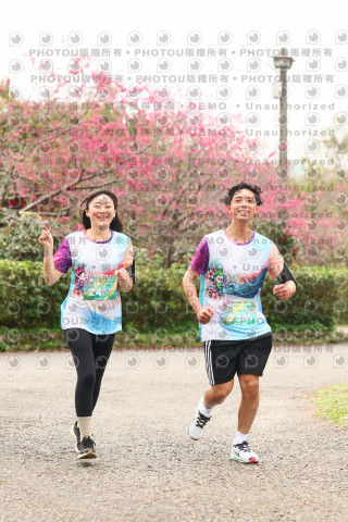 2026左岸竹東櫻花馬拉松Zhudong Sakura Marathon