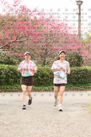 2026左岸竹東櫻花馬拉松Zhudong Sakura Marathon