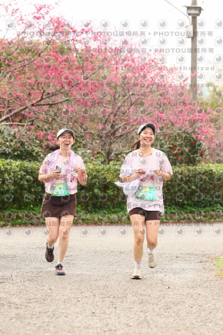 2026左岸竹東櫻花馬拉松Zhudong Sakura Marathon