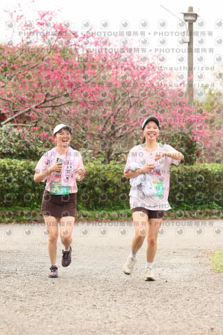 2026左岸竹東櫻花馬拉松Zhudong Sakura Marathon