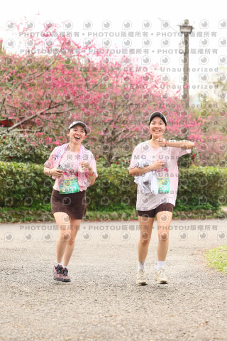 2026左岸竹東櫻花馬拉松Zhudong Sakura Marathon