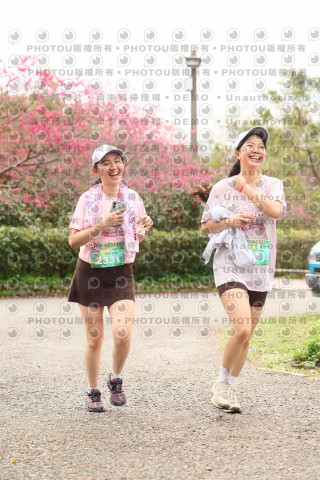 2026左岸竹東櫻花馬拉松Zhudong Sakura Marathon