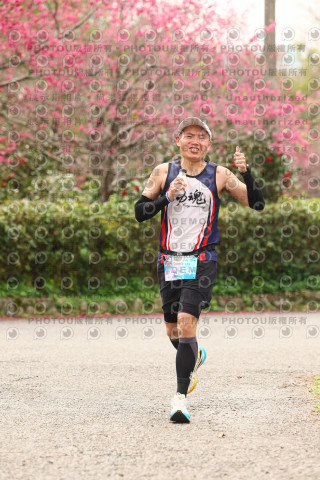 2026左岸竹東櫻花馬拉松Zhudong Sakura Marathon