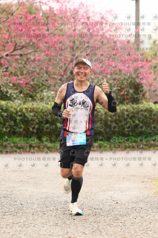 2026左岸竹東櫻花馬拉松Zhudong Sakura Marathon