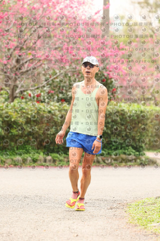 2026左岸竹東櫻花馬拉松Zhudong Sakura Marathon