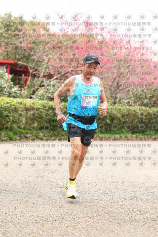 2026左岸竹東櫻花馬拉松Zhudong Sakura Marathon