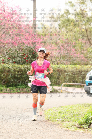 2026左岸竹東櫻花馬拉松Zhudong Sakura Marathon