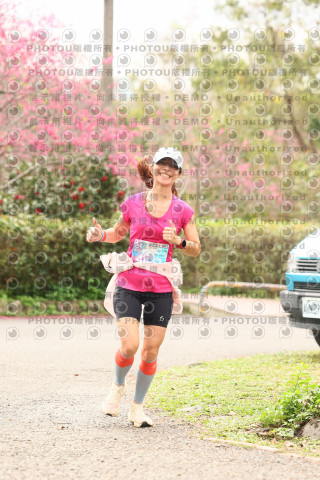2026左岸竹東櫻花馬拉松Zhudong Sakura Marathon