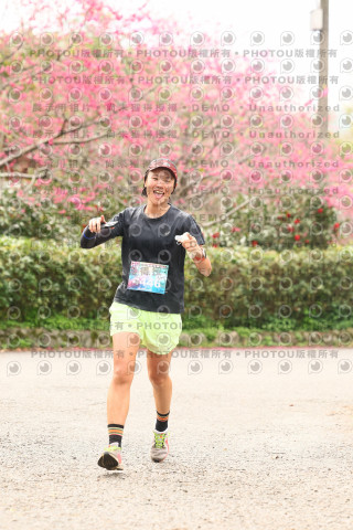2026左岸竹東櫻花馬拉松Zhudong Sakura Marathon