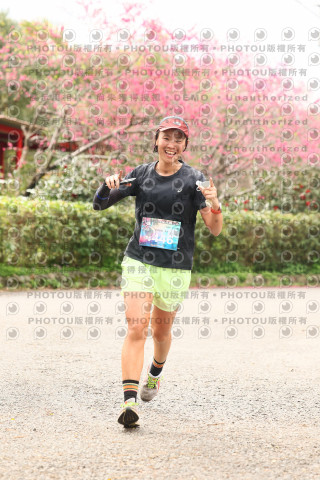2026左岸竹東櫻花馬拉松Zhudong Sakura Marathon