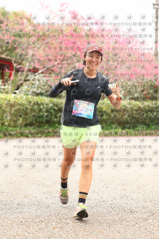 2026左岸竹東櫻花馬拉松Zhudong Sakura Marathon