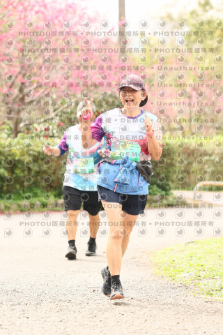 2026左岸竹東櫻花馬拉松Zhudong Sakura Marathon