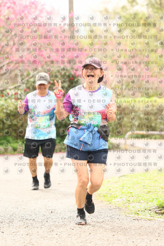 2026左岸竹東櫻花馬拉松Zhudong Sakura Marathon