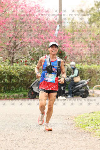 2026左岸竹東櫻花馬拉松Zhudong Sakura Marathon