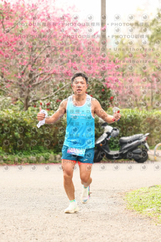 2026左岸竹東櫻花馬拉松Zhudong Sakura Marathon