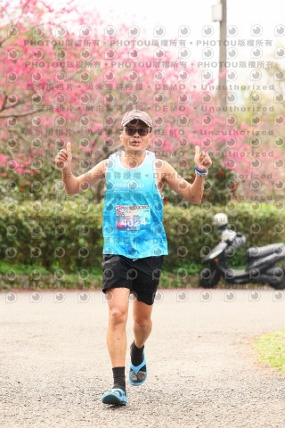 2026左岸竹東櫻花馬拉松Zhudong Sakura Marathon