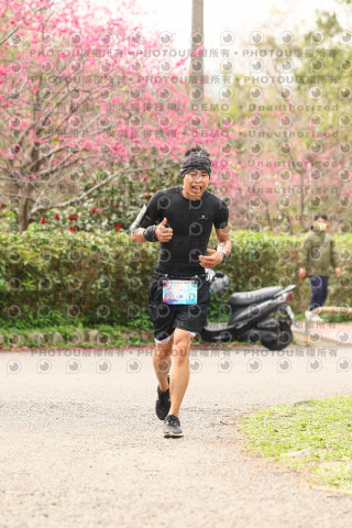 2026左岸竹東櫻花馬拉松Zhudong Sakura Marathon