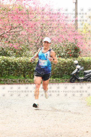 2026左岸竹東櫻花馬拉松Zhudong Sakura Marathon