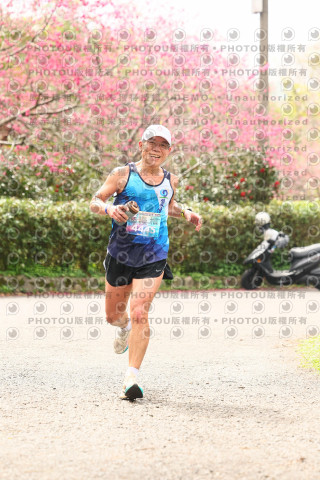 2026左岸竹東櫻花馬拉松Zhudong Sakura Marathon