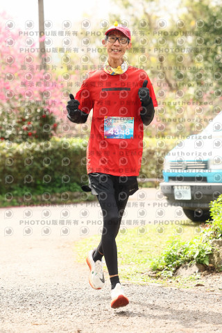 2026左岸竹東櫻花馬拉松Zhudong Sakura Marathon