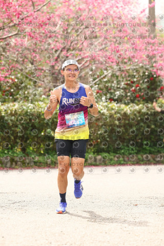 2026左岸竹東櫻花馬拉松Zhudong Sakura Marathon