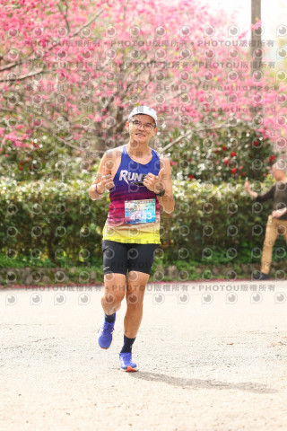 2026左岸竹東櫻花馬拉松Zhudong Sakura Marathon