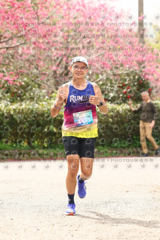 2026左岸竹東櫻花馬拉松Zhudong Sakura Marathon