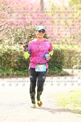2026左岸竹東櫻花馬拉松Zhudong Sakura Marathon