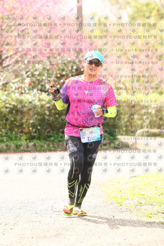 2026左岸竹東櫻花馬拉松Zhudong Sakura Marathon