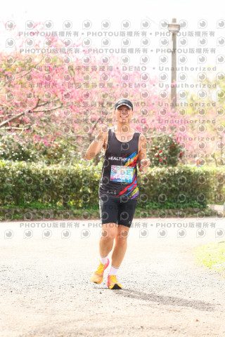 2026左岸竹東櫻花馬拉松Zhudong Sakura Marathon