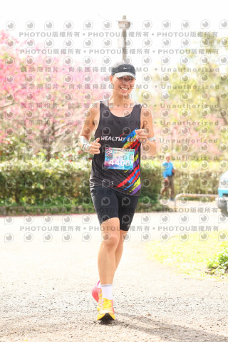 2026左岸竹東櫻花馬拉松Zhudong Sakura Marathon