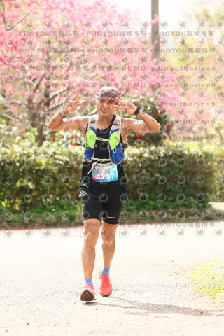 2026左岸竹東櫻花馬拉松Zhudong Sakura Marathon