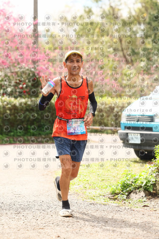 2026左岸竹東櫻花馬拉松Zhudong Sakura Marathon