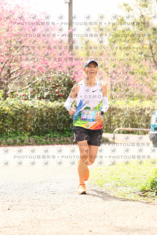 2026左岸竹東櫻花馬拉松Zhudong Sakura Marathon