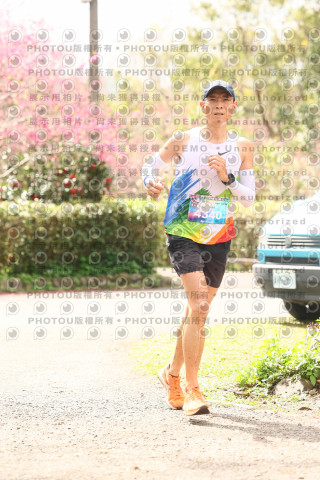 2026左岸竹東櫻花馬拉松Zhudong Sakura Marathon