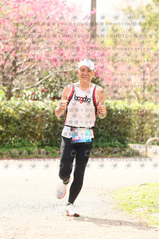 2026左岸竹東櫻花馬拉松Zhudong Sakura Marathon