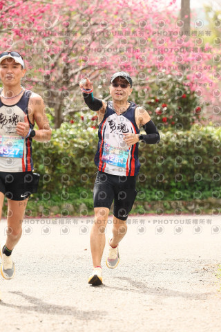 2026左岸竹東櫻花馬拉松Zhudong Sakura Marathon