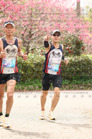 2026左岸竹東櫻花馬拉松Zhudong Sakura Marathon