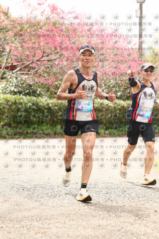 2026左岸竹東櫻花馬拉松Zhudong Sakura Marathon