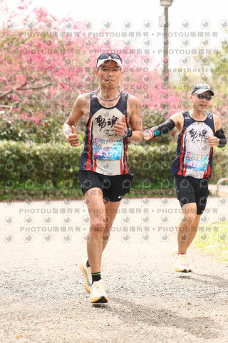 2026左岸竹東櫻花馬拉松Zhudong Sakura Marathon