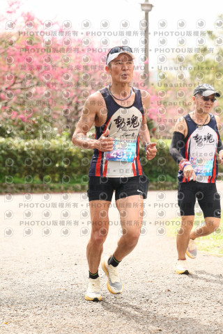 2026左岸竹東櫻花馬拉松Zhudong Sakura Marathon